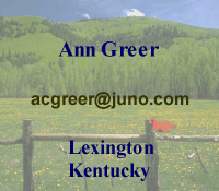 Ann Greer