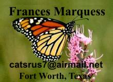 Frances Marquess