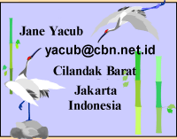 Jane Yacub