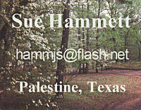 Sue Hammett