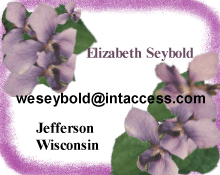 Elizabeth Seybold