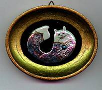 Cat in a Frame