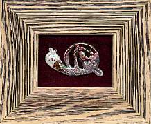 Snail in a Frame